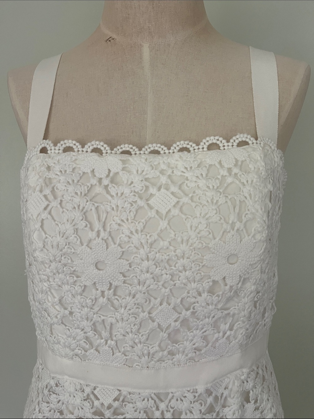 Saylor Verena Lace Mini Dress - Picture 6 of 11